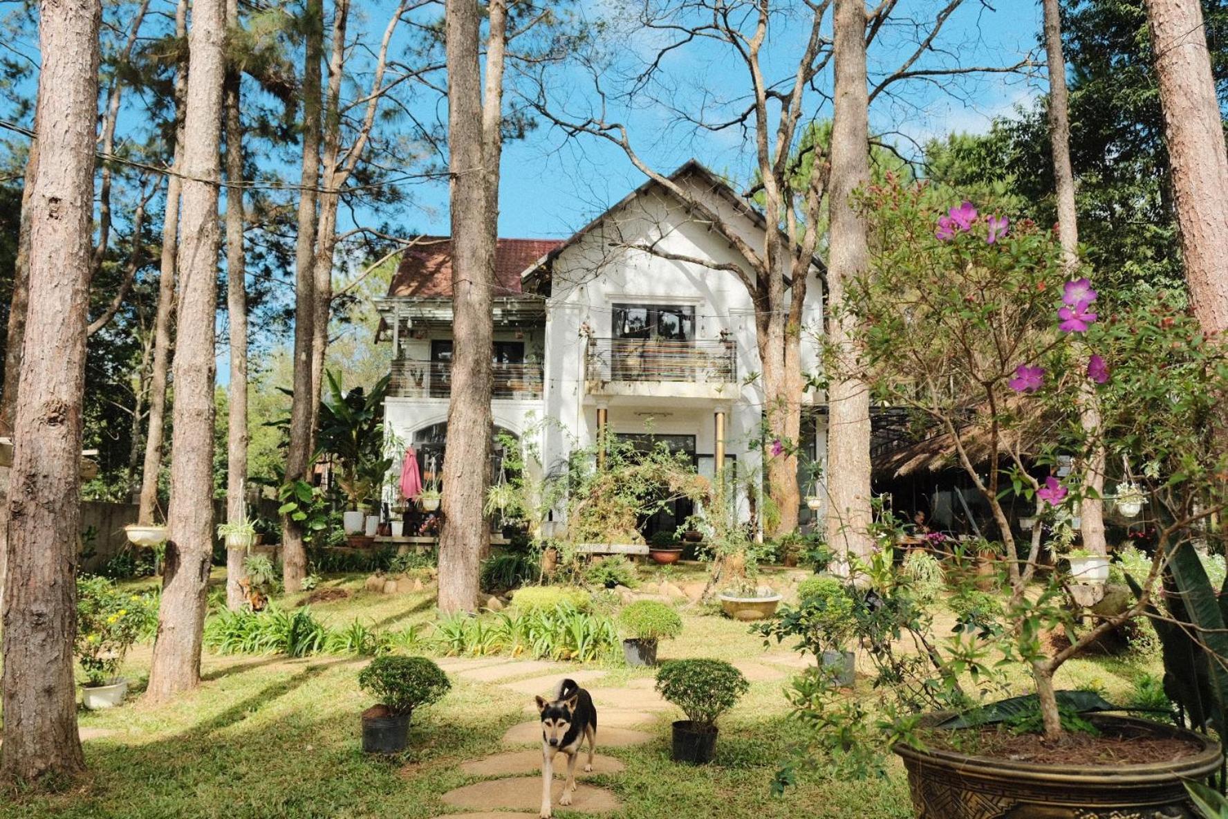 S'Nghe Homestay Mang Den Kon Von Kla Екстер'єр фото