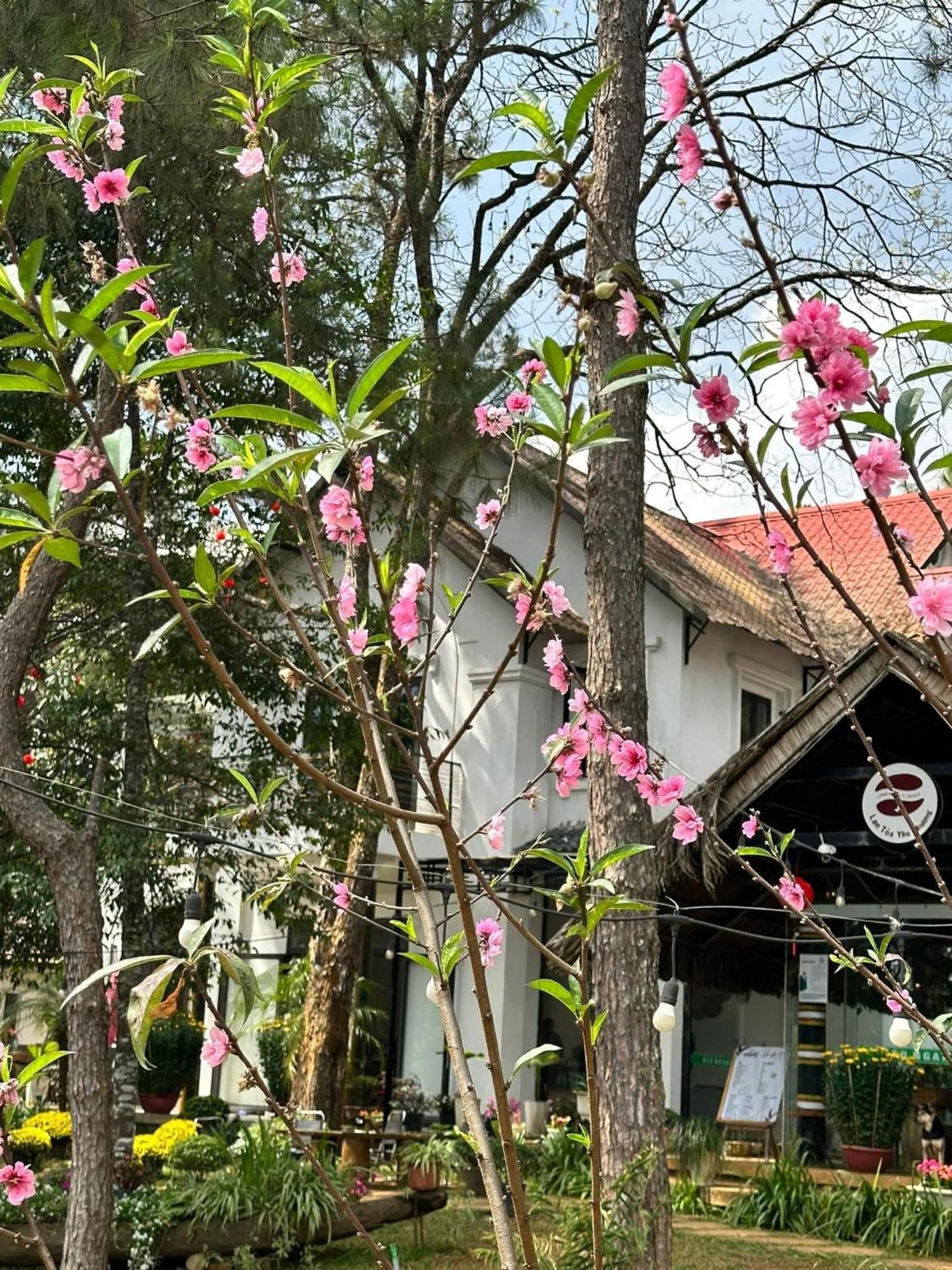 S'Nghe Homestay Mang Den Kon Von Kla Екстер'єр фото