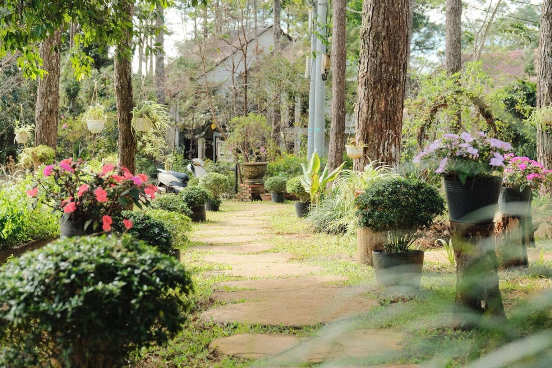 S'Nghe Homestay Mang Den Kon Von Kla Екстер'єр фото